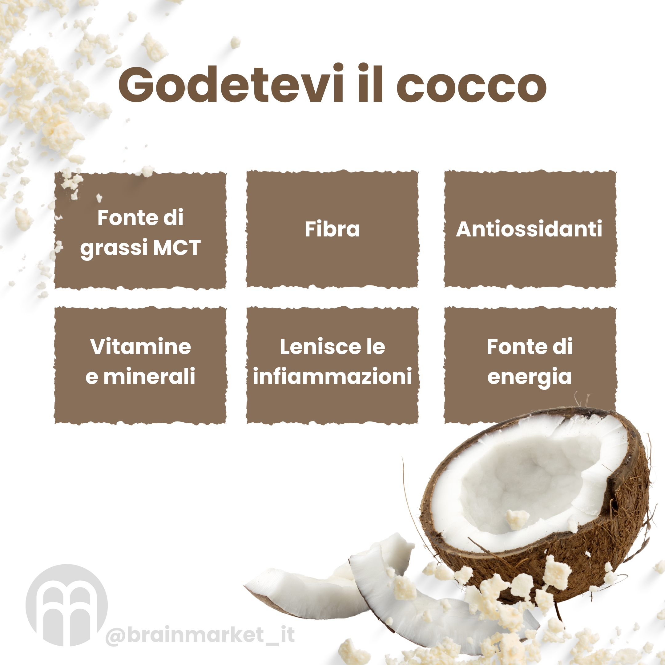 BrainMax Latte di cocco puro BIO in polvere, 250 g - BrainMarket.cz